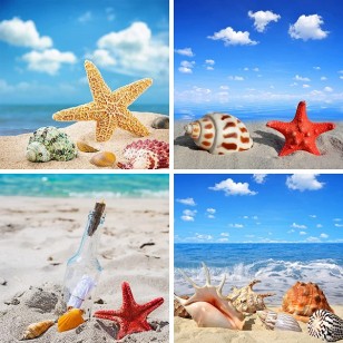 4 Starfish & Seashells