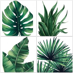 Green Plant 1
